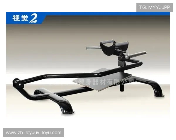 高端健身器材新纪元：奢华器械与智能科技融合的居家训练方案