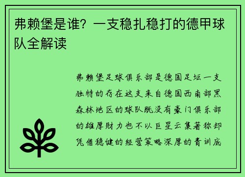弗赖堡是谁？一支稳扎稳打的德甲球队全解读