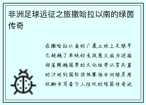 非洲足球远征之旅撒哈拉以南的绿茵传奇